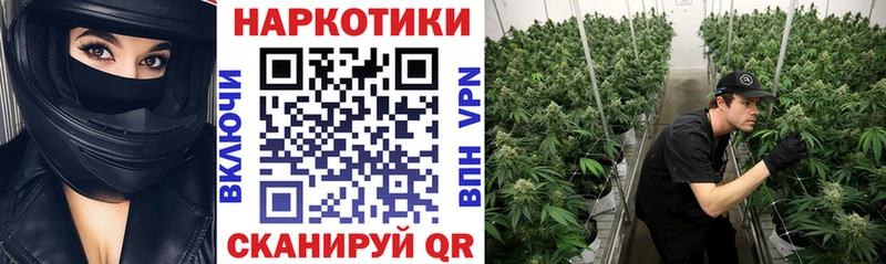 Что такое Москва СК Бошки Шишки
