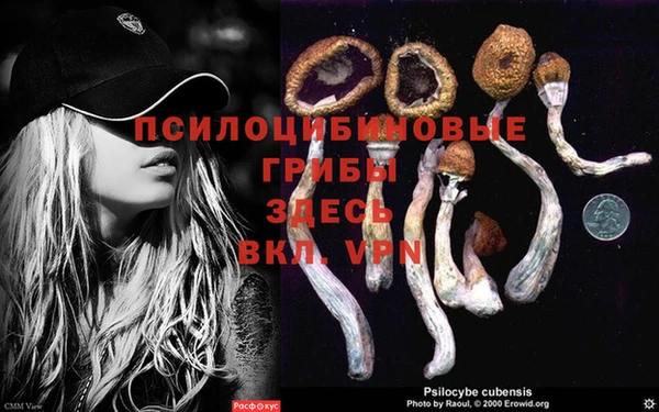 ALPHA PVP Горнозаводск
