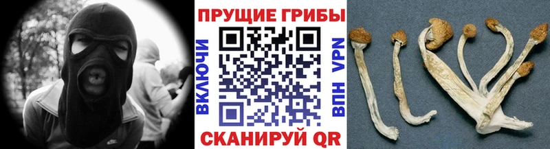 наркота  ссылка на мегу зеркало  Псилоцибиновые грибы Magic Shrooms  Москва 